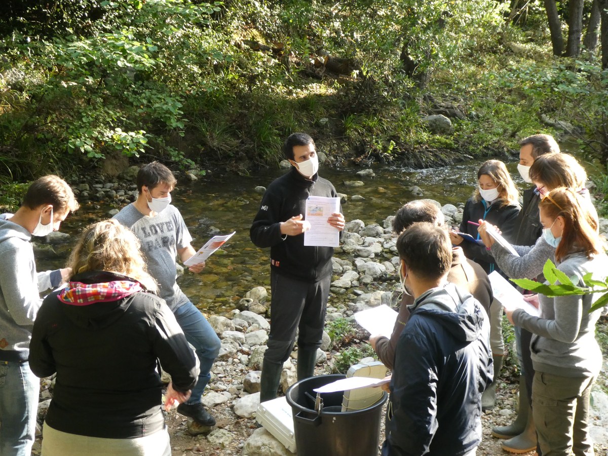 Projet numérique : Jaugeage au sel du débit d'un cours d'eau